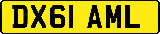 DX61AML