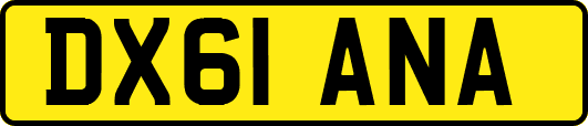 DX61ANA