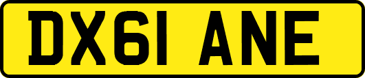 DX61ANE