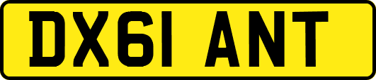 DX61ANT