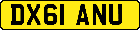 DX61ANU