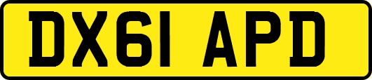 DX61APD