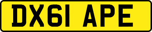 DX61APE