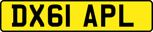 DX61APL