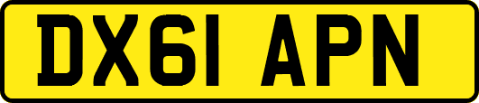 DX61APN