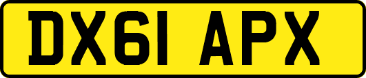 DX61APX