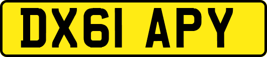 DX61APY