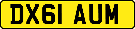 DX61AUM