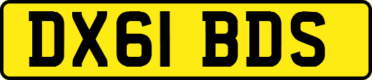 DX61BDS