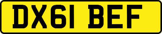DX61BEF