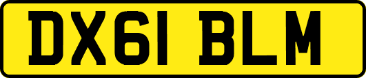 DX61BLM