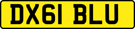 DX61BLU