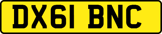DX61BNC