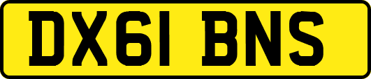 DX61BNS