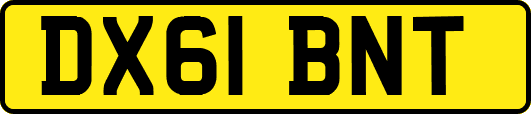 DX61BNT