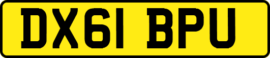 DX61BPU