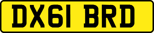 DX61BRD