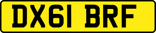 DX61BRF