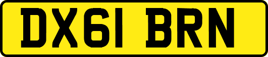 DX61BRN