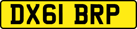 DX61BRP