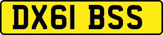 DX61BSS