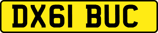 DX61BUC