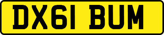 DX61BUM