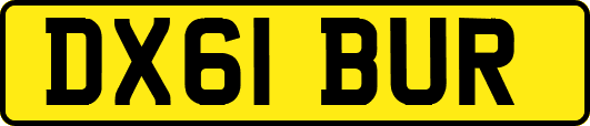 DX61BUR