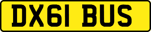 DX61BUS