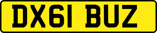 DX61BUZ
