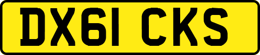 DX61CKS