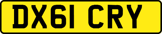 DX61CRY