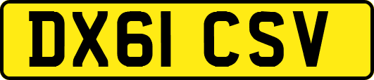 DX61CSV