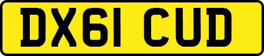 DX61CUD