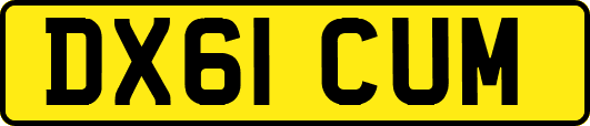 DX61CUM
