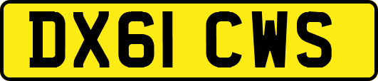 DX61CWS