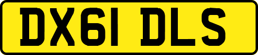 DX61DLS