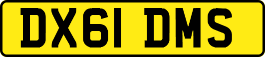 DX61DMS