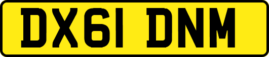 DX61DNM