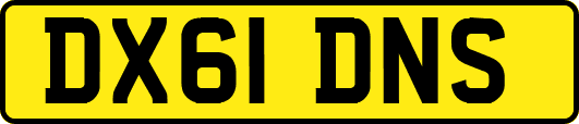 DX61DNS