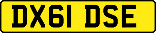 DX61DSE