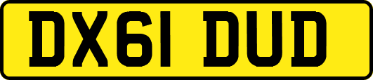 DX61DUD