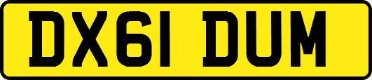 DX61DUM