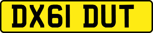 DX61DUT