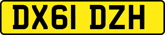 DX61DZH