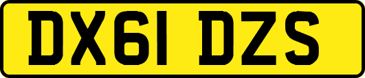 DX61DZS