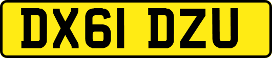 DX61DZU