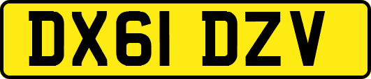 DX61DZV
