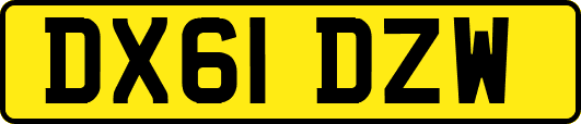 DX61DZW