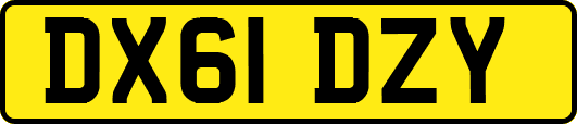 DX61DZY